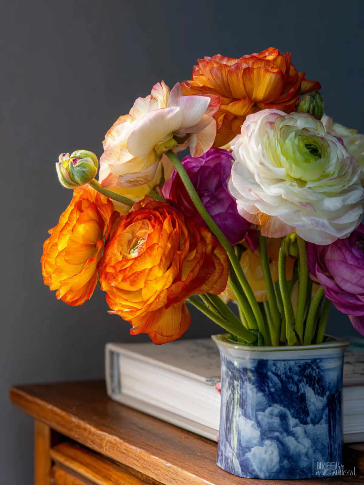 How to Arrange Ranunculus for Stunning Floral Displays 6 How to Arrange Ranunculus Second Image lssl17