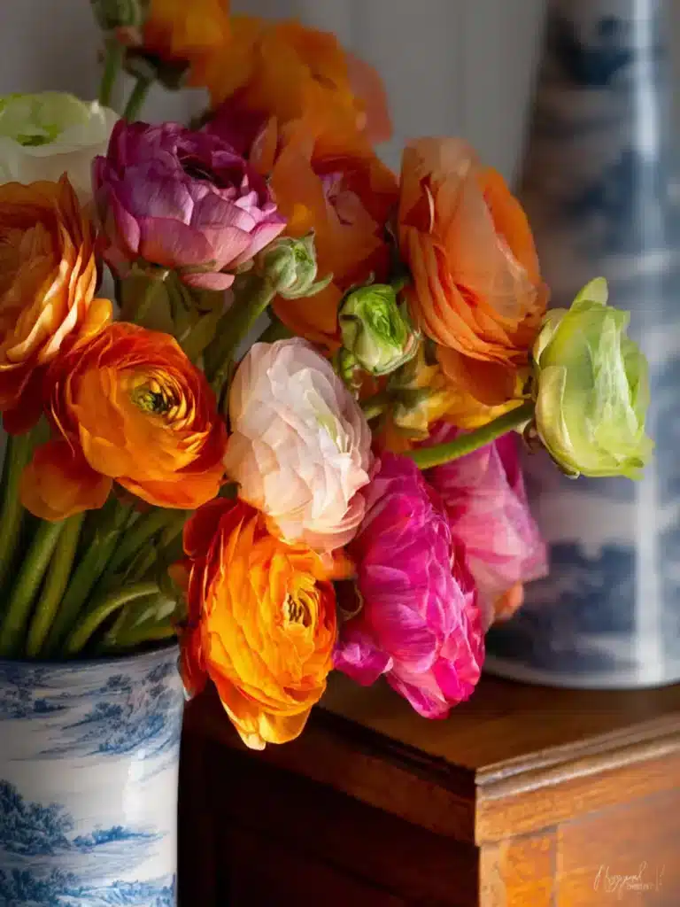 How to Arrange Ranunculus First Image